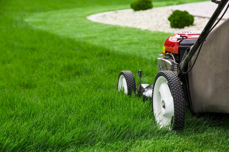 Garden-Maintenance-Mesa-AZ