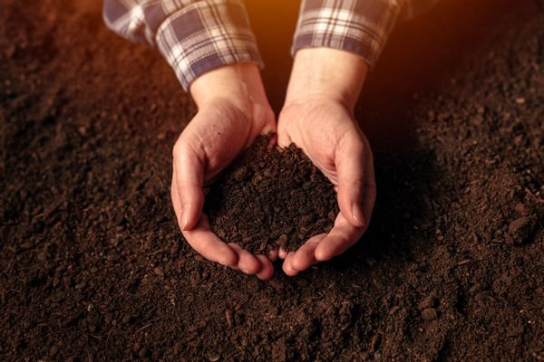 Land-Remediation-Nampa-ID