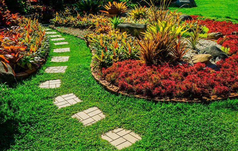 Lawn-Care-Henderson-NV