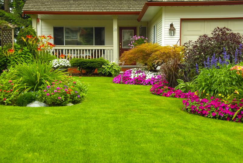 Lawn-and-Garden-Purchase-NY