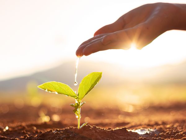 Soil-Amendment-Gypsum-San-Diego-CA