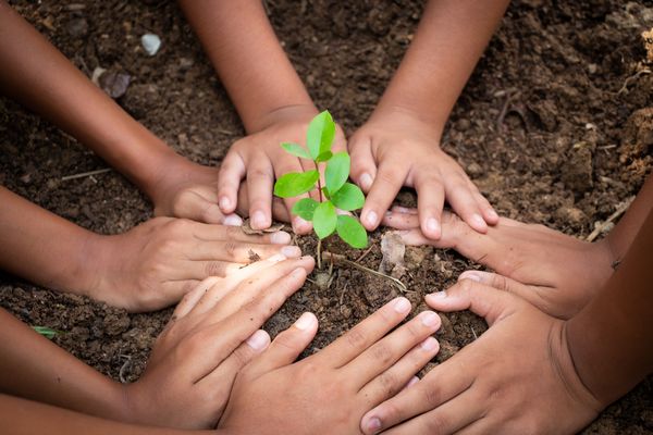 Soil-Remediation-San-Diego-CA