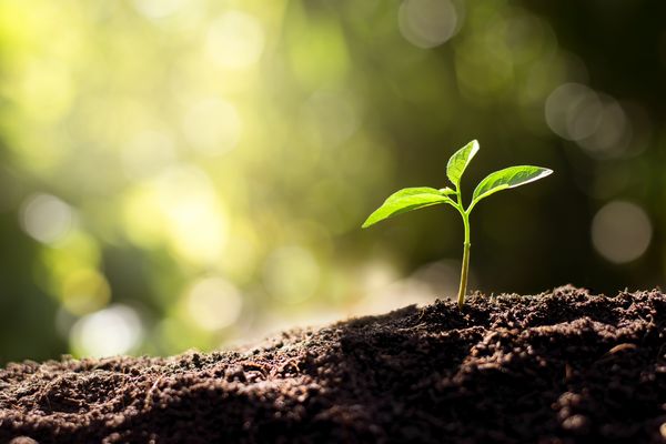 Sustainable-Agriculture-Los-Angeles-CA