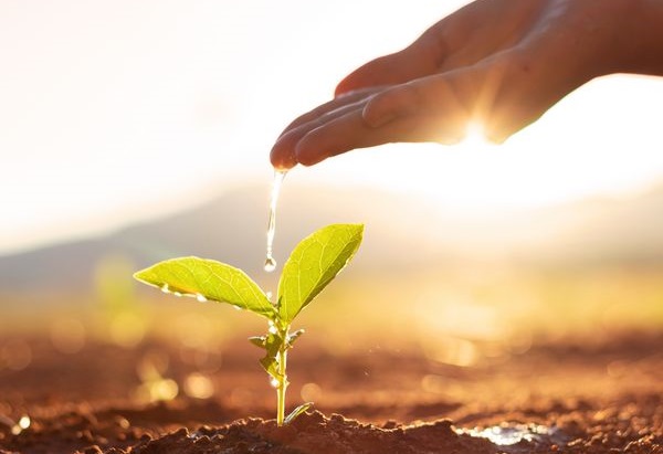 Sustainable-Agriculture-Nashville-TN