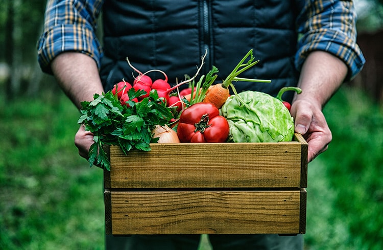 Organic-Farming