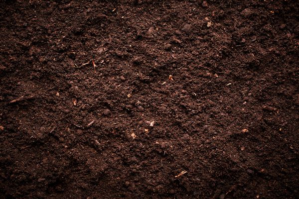 Soil-Structure-New-York-City-NY