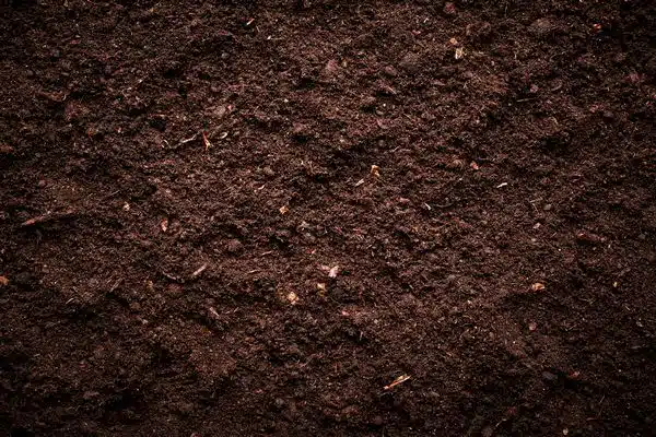 Soil-Structure-Washington-DC