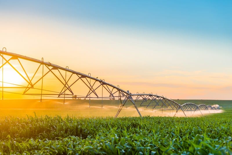 Farming-Water-Run-Off