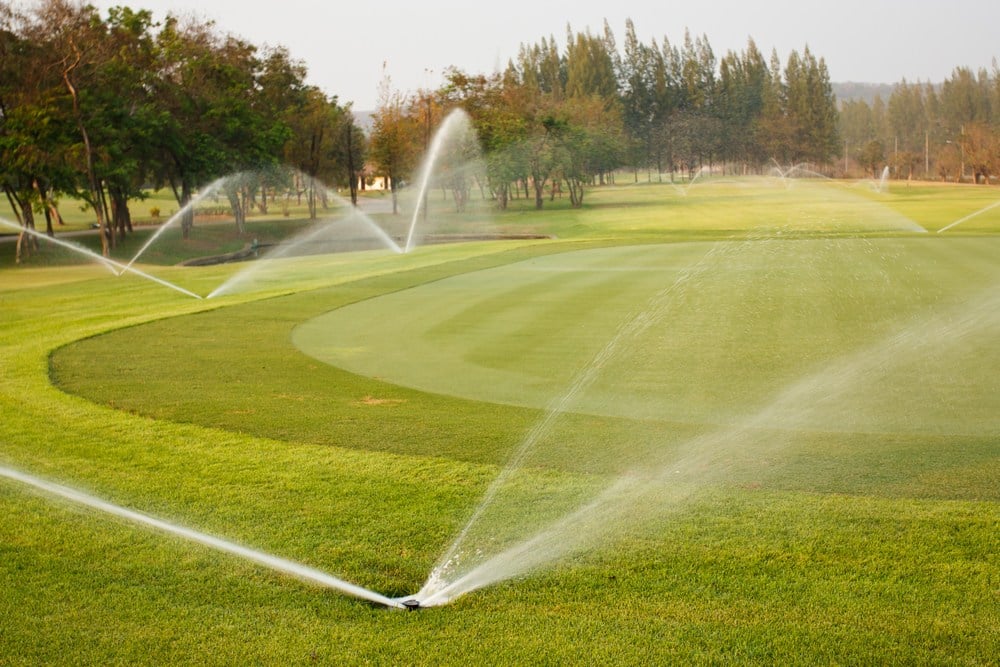 Playground turf management