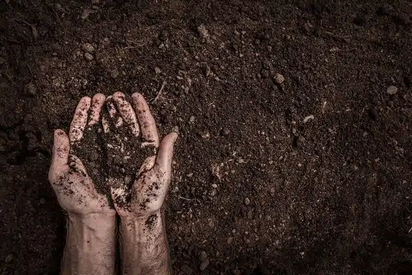 Fall-Soil-Health-Denver-CO