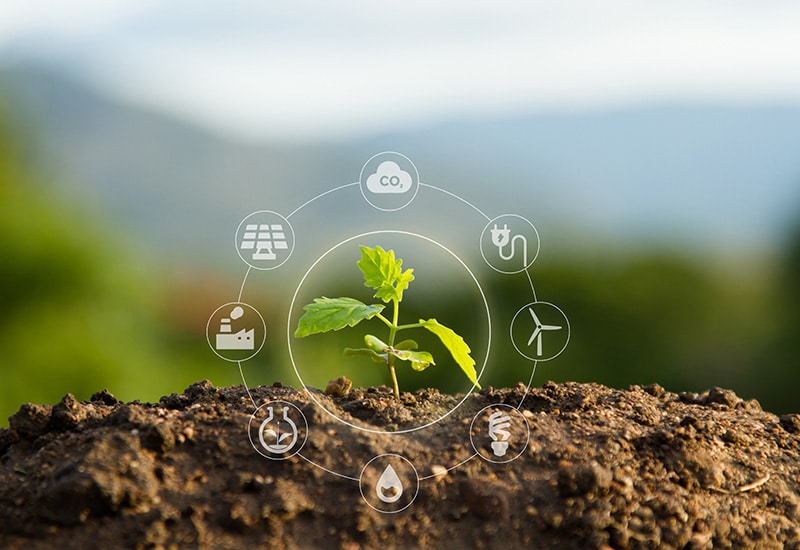 Gypsum-for-Soil