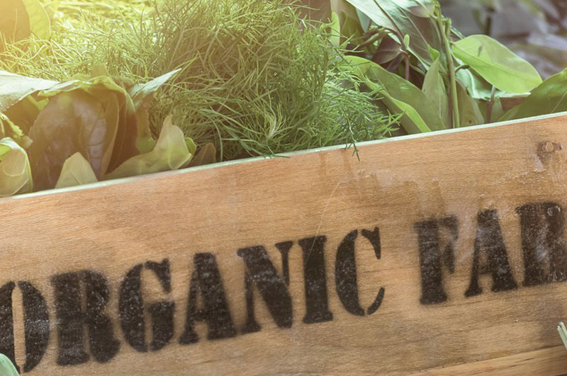Organic-Farming