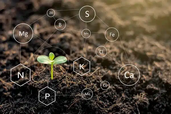 Regenerative-Agriculture-Billings-MT
