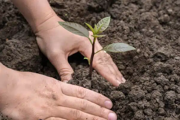 Regenerative-Agriculture-Des-Moines-IA