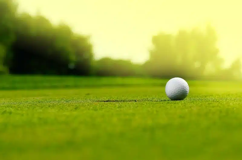 Maintaining-Golf-Courses.jpg