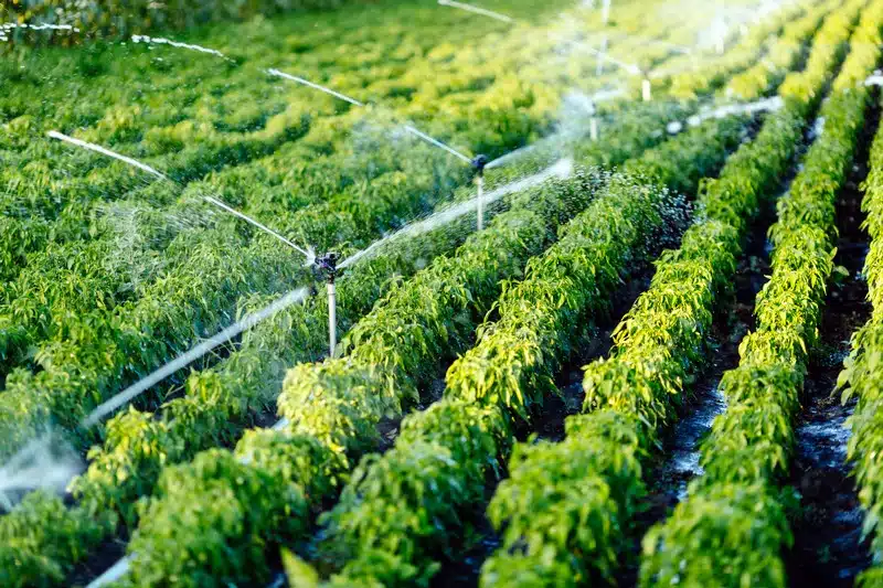 Water-in-Farming.jpg