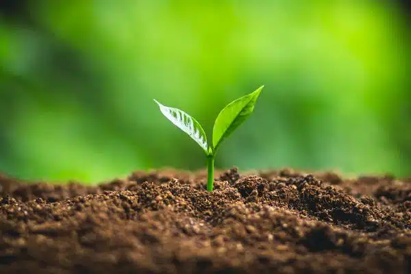Gypsum-and-Soil-Health-Colorado-Springs-CO