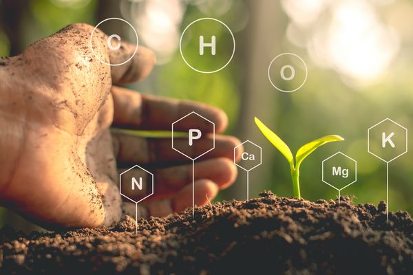Gypsum-and-Soil-Health-Salem-OR
