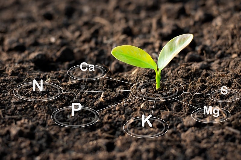 Soil-Carbon-Sequestration