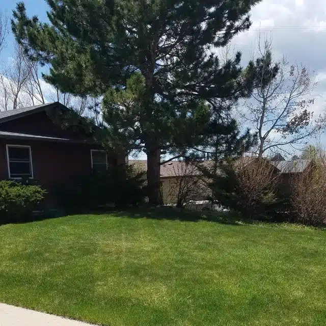 Before EcoGEM's Soil Enhancer