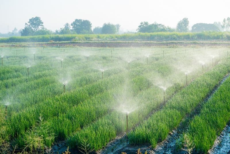 Gypsum-and-Irrigation-Water-Lexington-KY