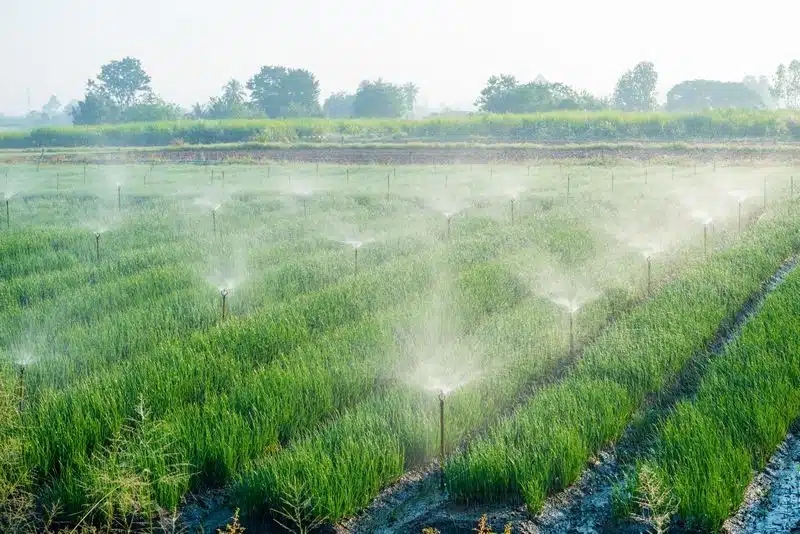 Irrigation-Water-Use-Chambersburg-PA