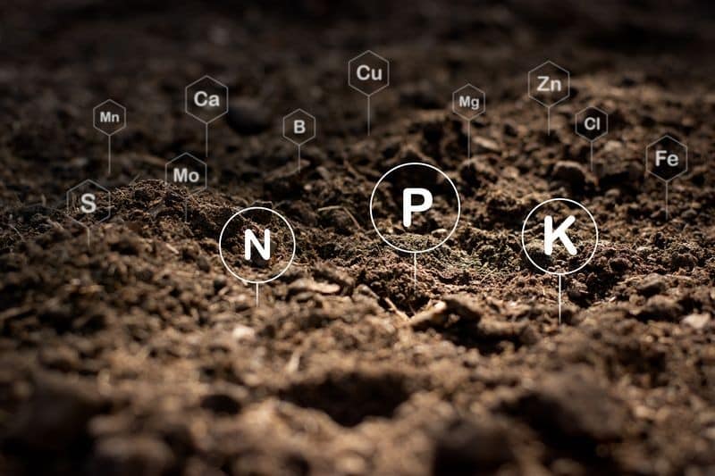 Irrigation-Water-Use-Jackson-MS