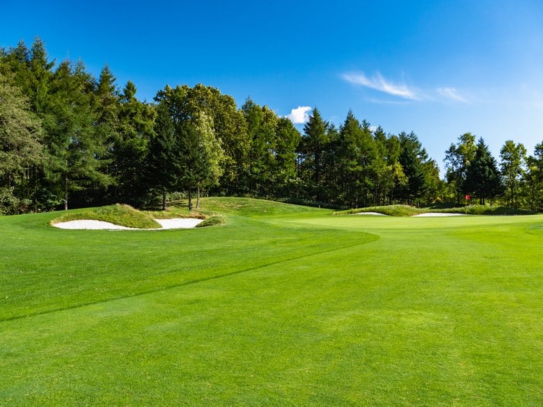 Minneapolis Golf Course and Gypsum