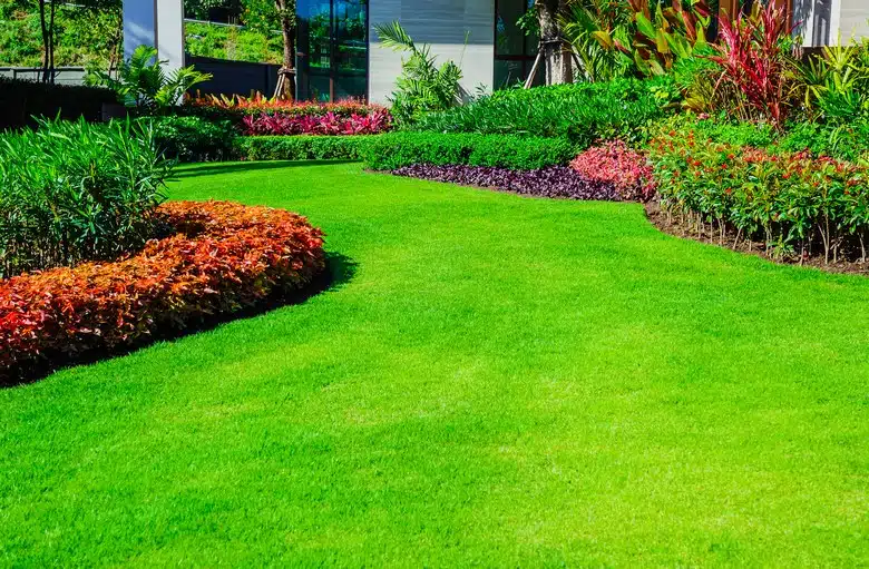 Greens-require-Good-Soil-Salem-OR