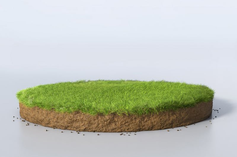 Keep-Grass-Green-During-Water-Restrictions-Cornell-NY
