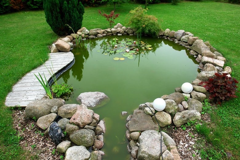 Managing-Pond-Scum-Bakersfield-CA