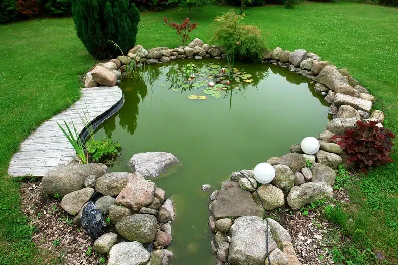Managing-Pond-Scum-Boise-ID