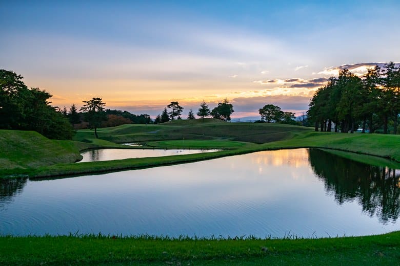 Tri-Cities Managing Pond Scum