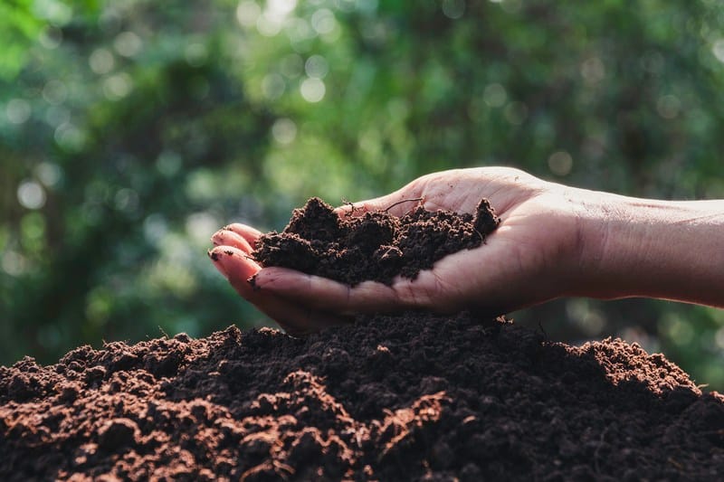 Soil-Health-and-Gypsum-Bakersfield-CA