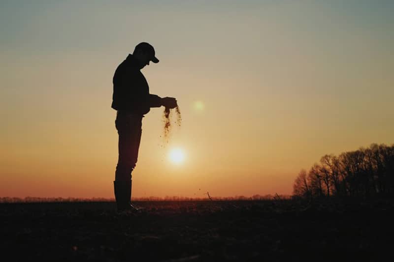 Soil-Health-and-Gypsum-Colorado-Springs-CO