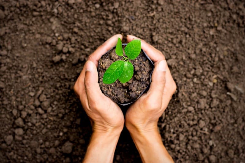 Spring-Planting-Walla-Walla-WA