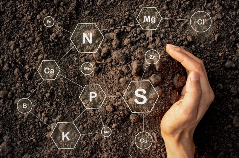 Water-Scarcity-and-Soil-Health-Colorado-Springs-CO