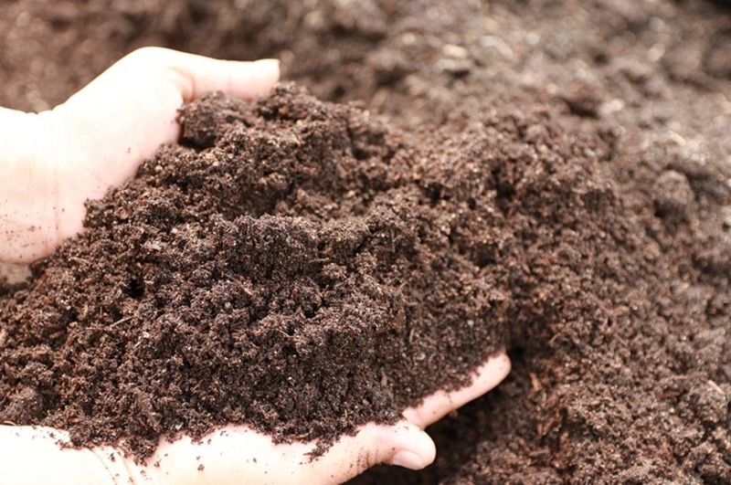 Water-Scarcity-and-Soil-Health-Cornell-NY