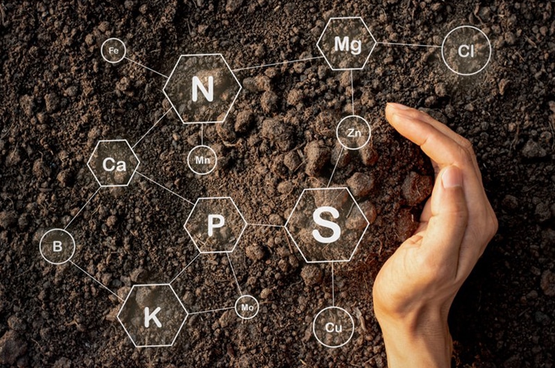 Water-Scarcity-and-Soil-Health-Scottsdale-AZ