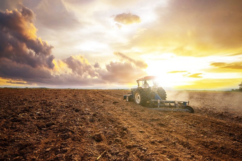 Water-Scarcity-and-Soil-Health-Washington-DC