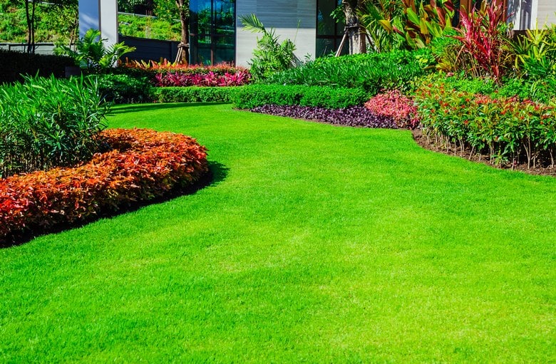 Greens-require-Good-Soil-Raleigh-NC