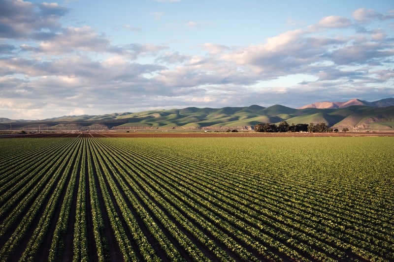 Fall is a Time to Protect Your Soil With Calcium Sulfate Dihydrate