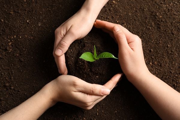 Soil-Moisture-Levels-Eugene-OR