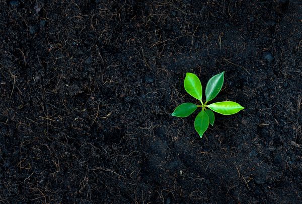 Soil-Moisture-Levels-Medford-OR