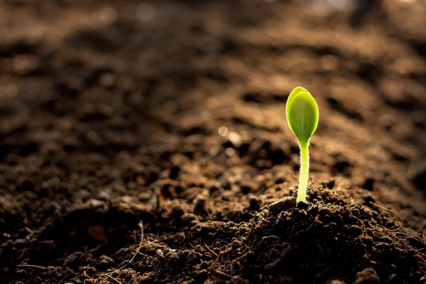 Soil-Moisture-Levels-Ogden-UT