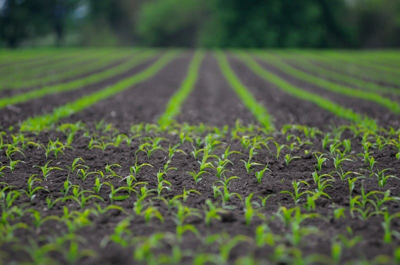 Soil-Moisture-Levels-South-Dakota
