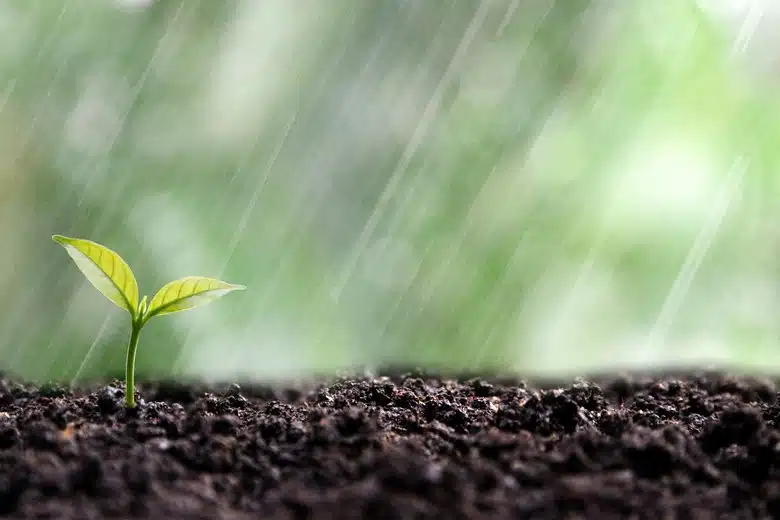 Merced Soil Moisture Levels Merced Water Scarcity Merced Water