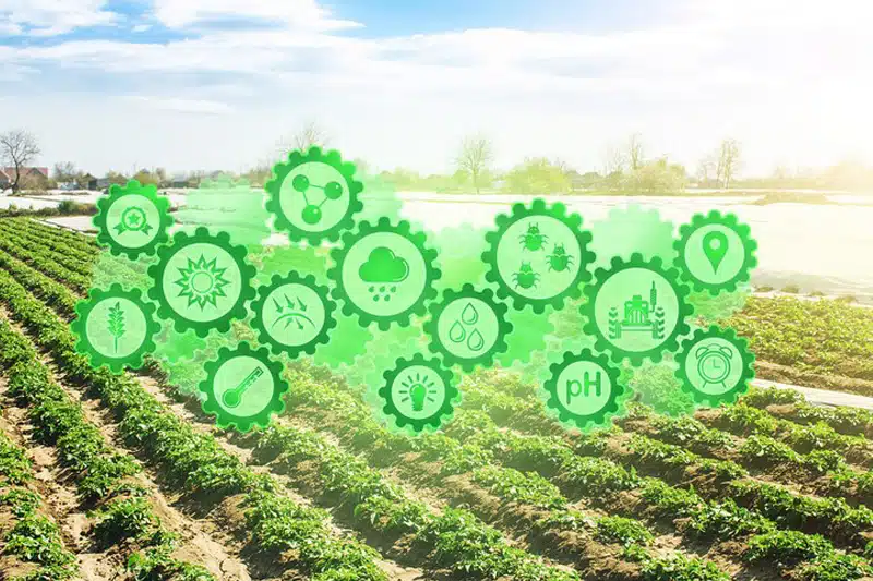 Phoenix Soil Moisture Levels Phoenix Water Scarcity Phoenix Water