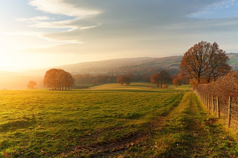 CSD-for-Fall-Soil-Health-Denver-CO