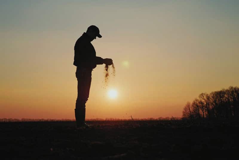 Gypsum-and-Fertilizers-Lynchburg-VA